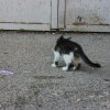 IMG_5843