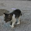 IMG_5844