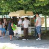 IMG_6010